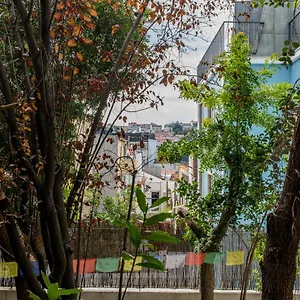 Lost :: Avenida House Pensjonat